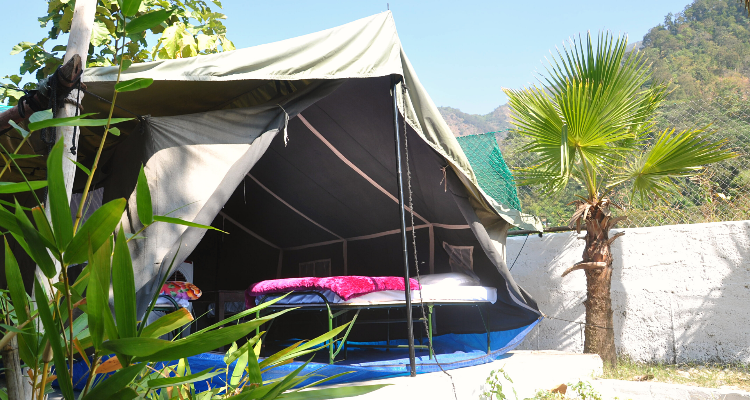 Ambika Resort
