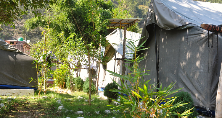Ambika Resort
