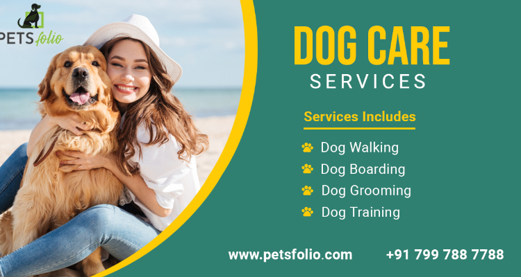 ssDog walking, dog grooming, dog training, dog boarding services - Petsfolio