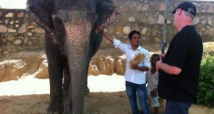 Rajasthan Royal tour in Jaipur