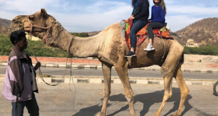 Rajasthan cab in Jaipur