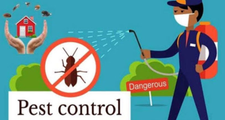 Pest Control Services In Chandigarh - Rawat Pest Control Service Chandigarh