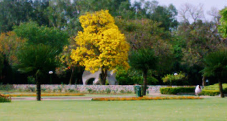 Tricity Estate Provider - (Property Dealers in Chandigarh)