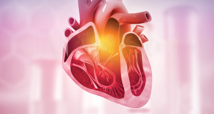 Vasu cardiac care hospital