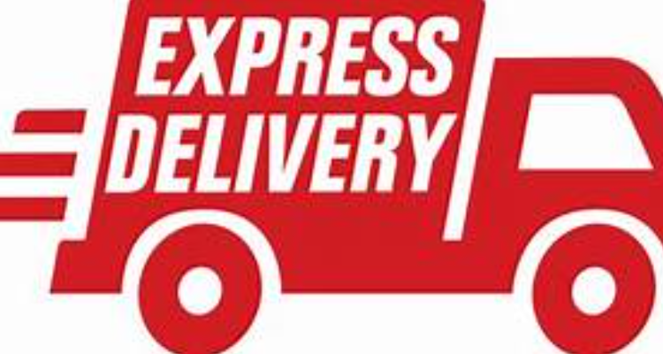 We fast courier service - Mumbai