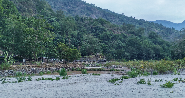 Real adventure guru - Ganga bank camp