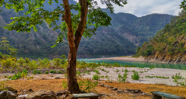 Real adventure guru - Ganga bank camp