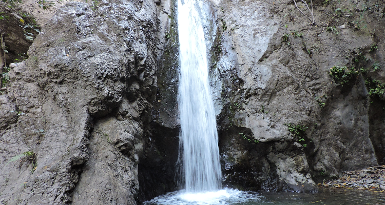 Real adventure guru - Ganga bank camp