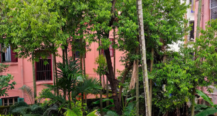 Open To Sky Architects