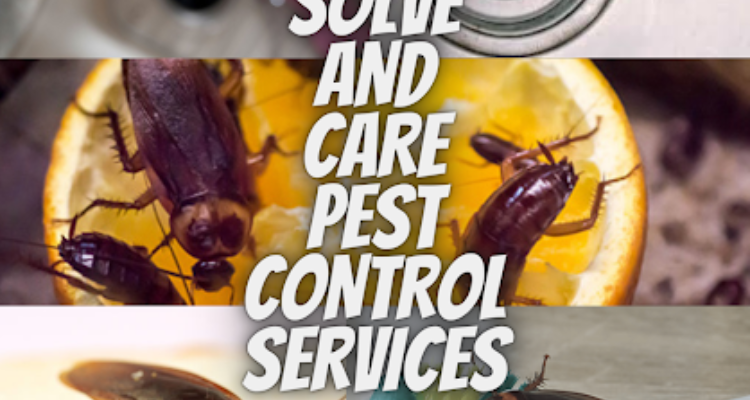 ssSolve And Care Pest Control Services In Kalyan