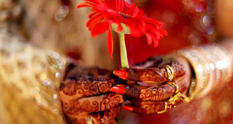 Pixel Photo Studio - Madhya Pradesh