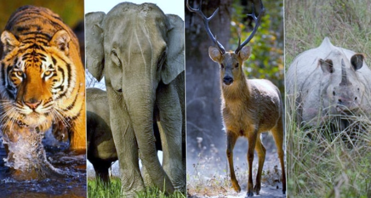 agratravelagency.com