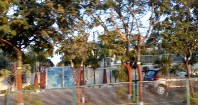 IPCA Laboratories Pvt. Ltd. - Ratlam