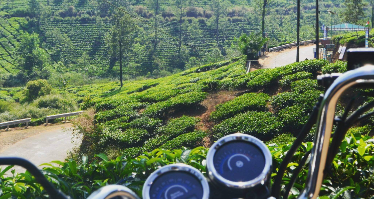 HASRIDE - Bike Rental Company