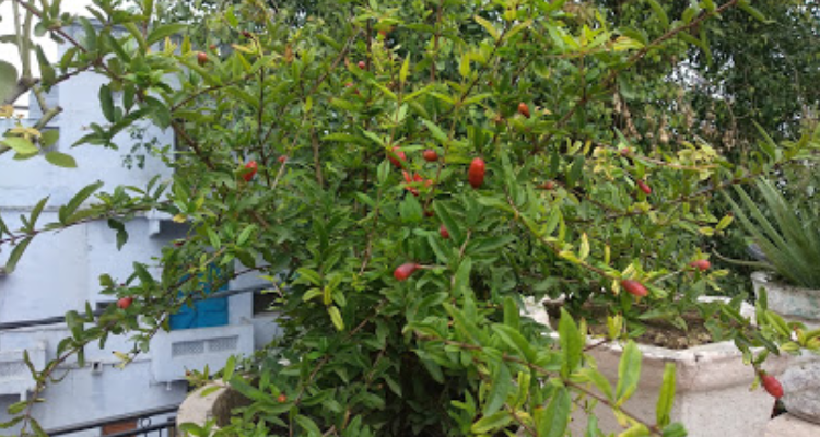 Yash Studio - Gwalior