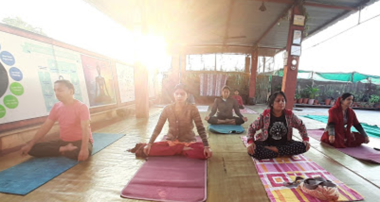 ssYoganandam, Classical Yoga Studio - Indore