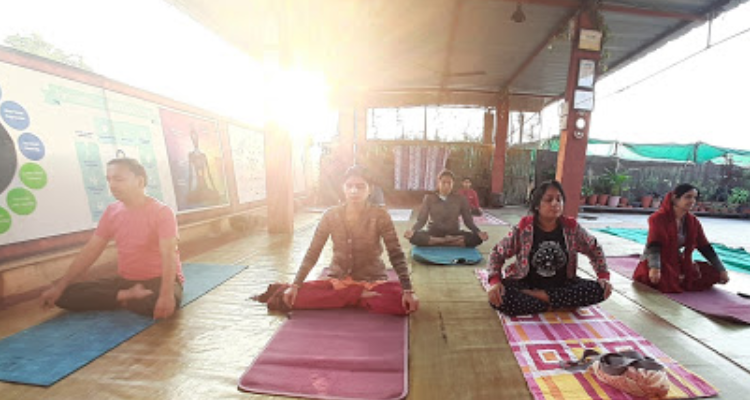 Yoganandam, Classical Yoga Studio - Indore