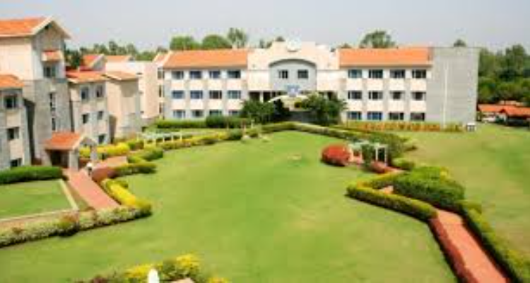 The International School Bangalore