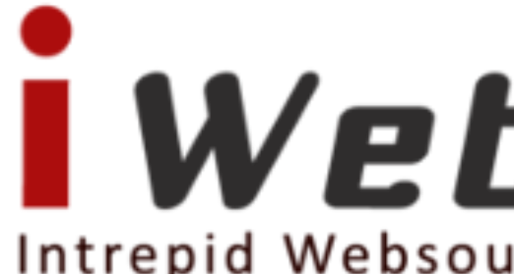 Intrepid Websoul Pvt Ltd - Indore