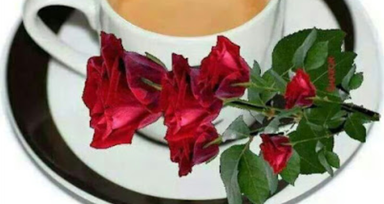 Kashish Tiffin Centre - Indore