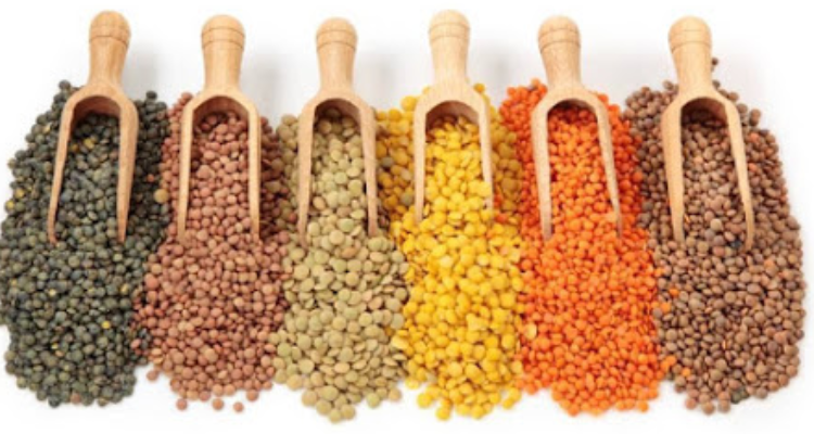 SR Pulses - pulses manufacturers in indore