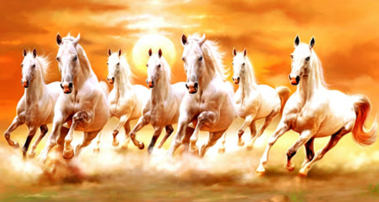 DIGITAL SHIVAM STUDIO - Rewa