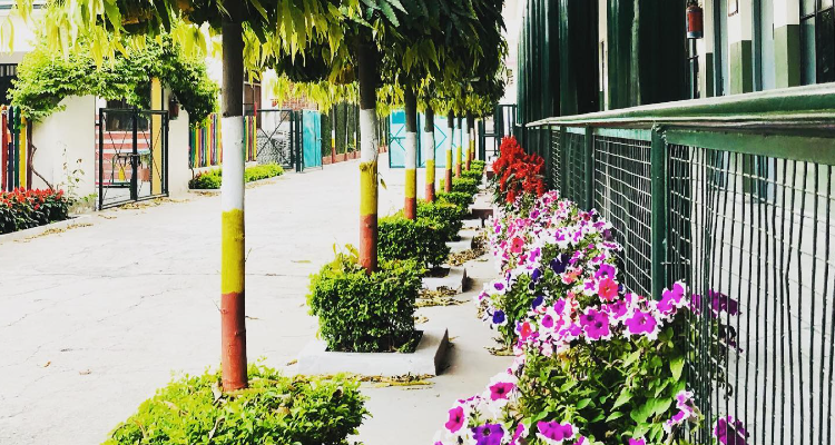 Brownwood Public School