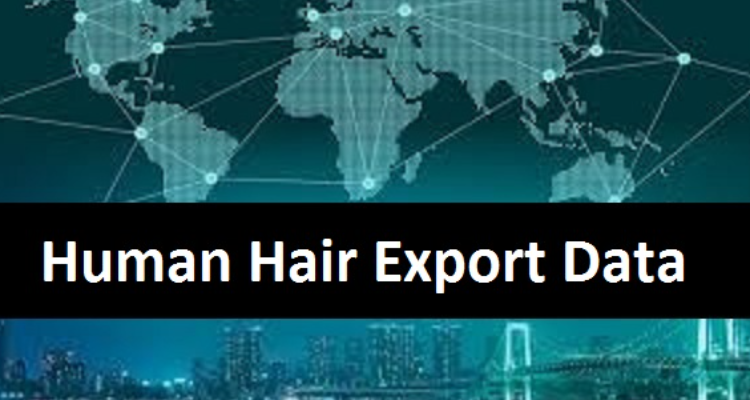ssHuman Hair Export Data: Make the Best Sales Prospects