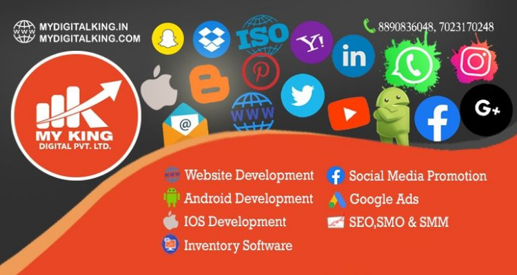 ssDigital Marketing Company and Agency Jodhpur MyKing Digital Pvt Ltd