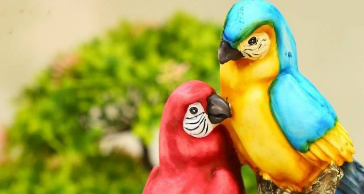 Dreamz Studio - Ecommerce & Product Photography in Jaipur