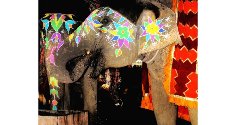 Best Photographer in Mansarovar, Jaipur - Rahul Prajapat Photography