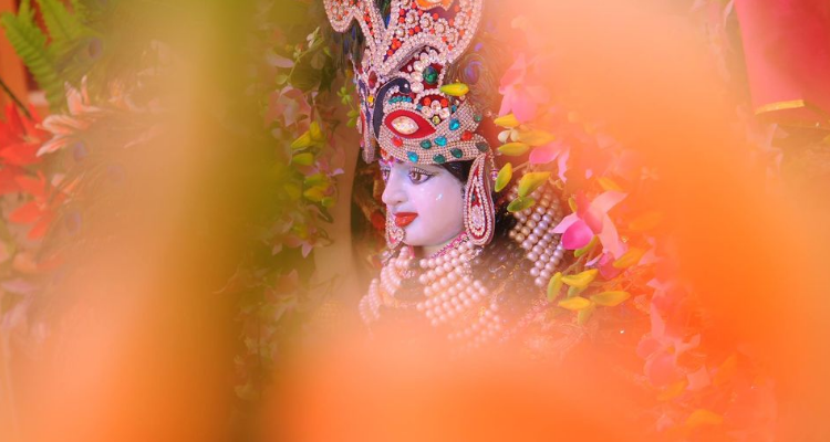 Studio D70s - Jaipur