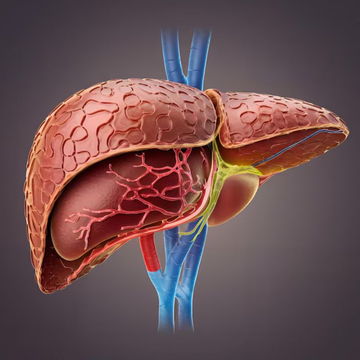 Dr. Kale's Gastro Clinic