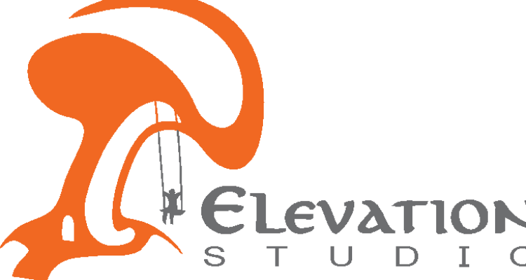 ssElevation Studio