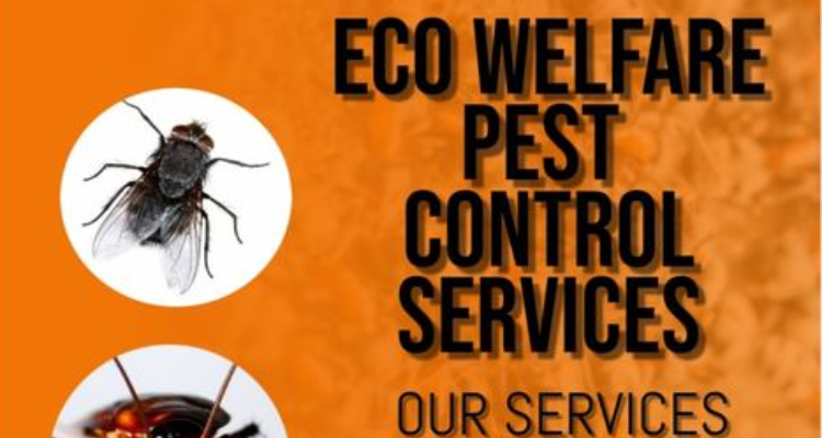 eco welfare pest control services