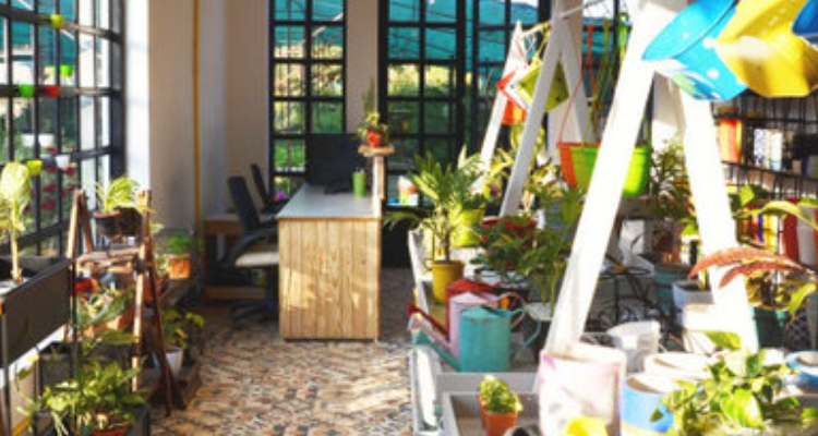 Sketch Design Studio - Alwar