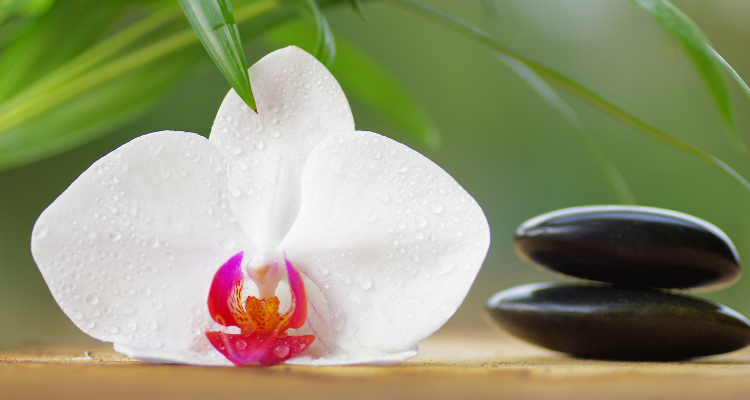 SRINGARIKA BEAUTY PARLOUR - ALwar