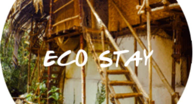 Saraya Restaurant - Ecostay, Art Cafe and Art Gallery in Goa