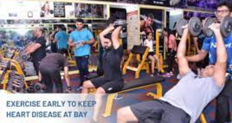 Norbert's Fitness Studio