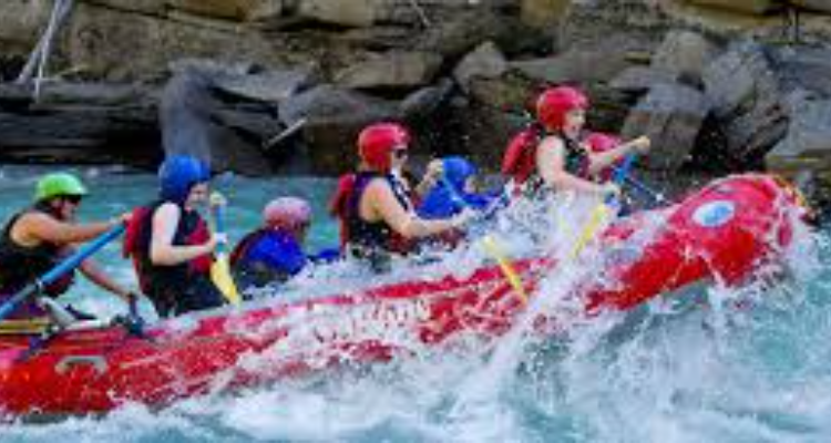 Go Green adventure