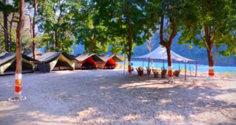 Rishikesh Camp - Rishikesh