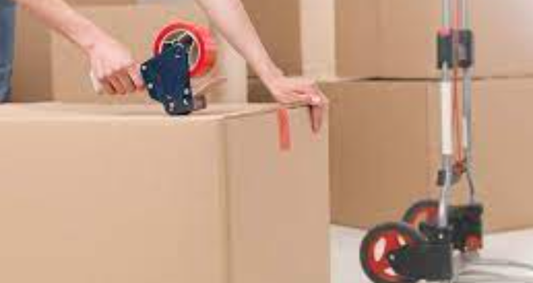 Print N Pack Industries - Rishikesh