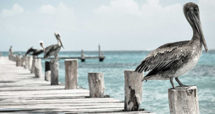 Saregama Travels Car Rental & Cabs - Dehrsdun