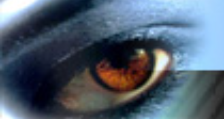 Chawla Travels - Rishikesh