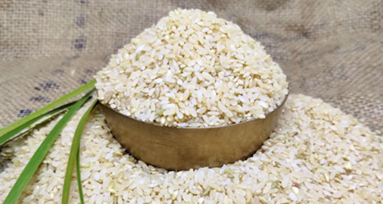 Siddhagiri Naturals