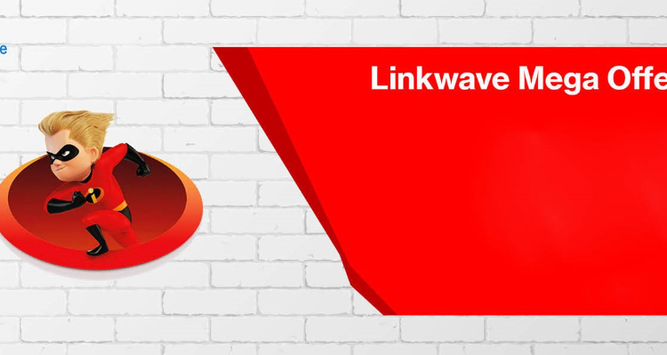 ssLinkwave Technologies Pvt. Ltd Rishikesh - Rishikesh