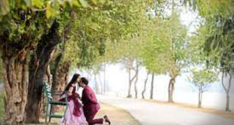 Meenakshi Studio & Colour Lab