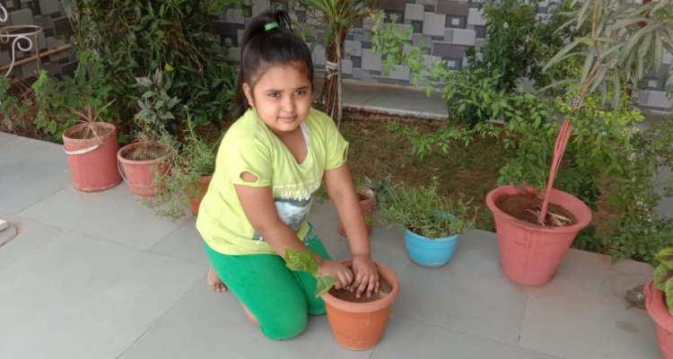 St.Mary's Convent Sr.Sec.School