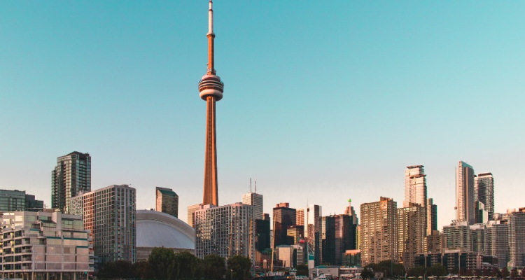 Cross Border Consultancy