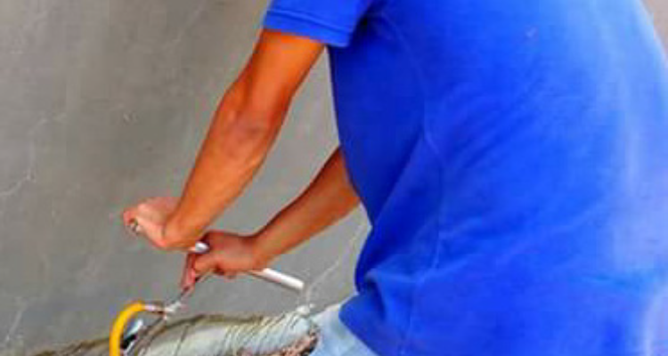 North Wala Pest Management Services